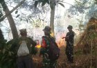 Babinsa, Polri, dan Polhut Tangani Kebakaran Hutan di Blok Si Maung Kuningan